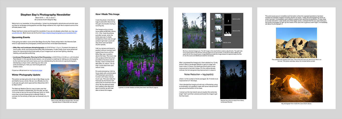 Sample pages from the newsletter