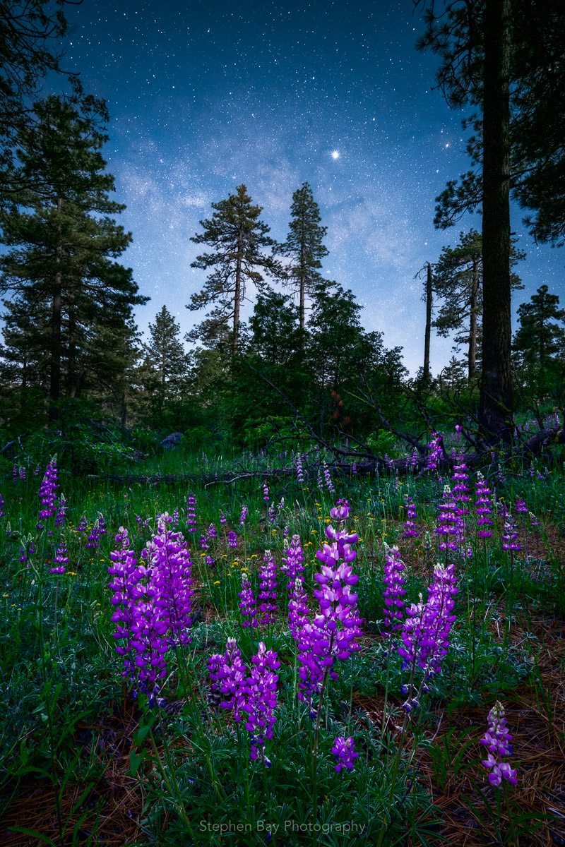 How To Achieve Detailed Foregrounds In Milky Way Photos Stephen Bay S Photography Blog