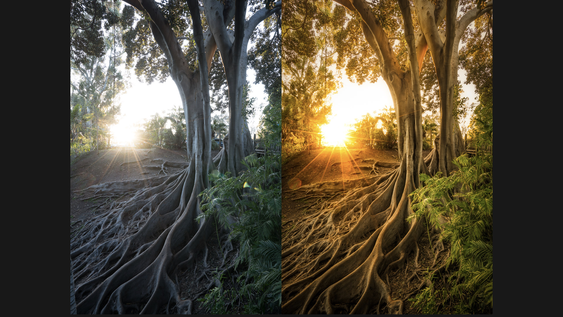 Before and After Post-Processing Example #2