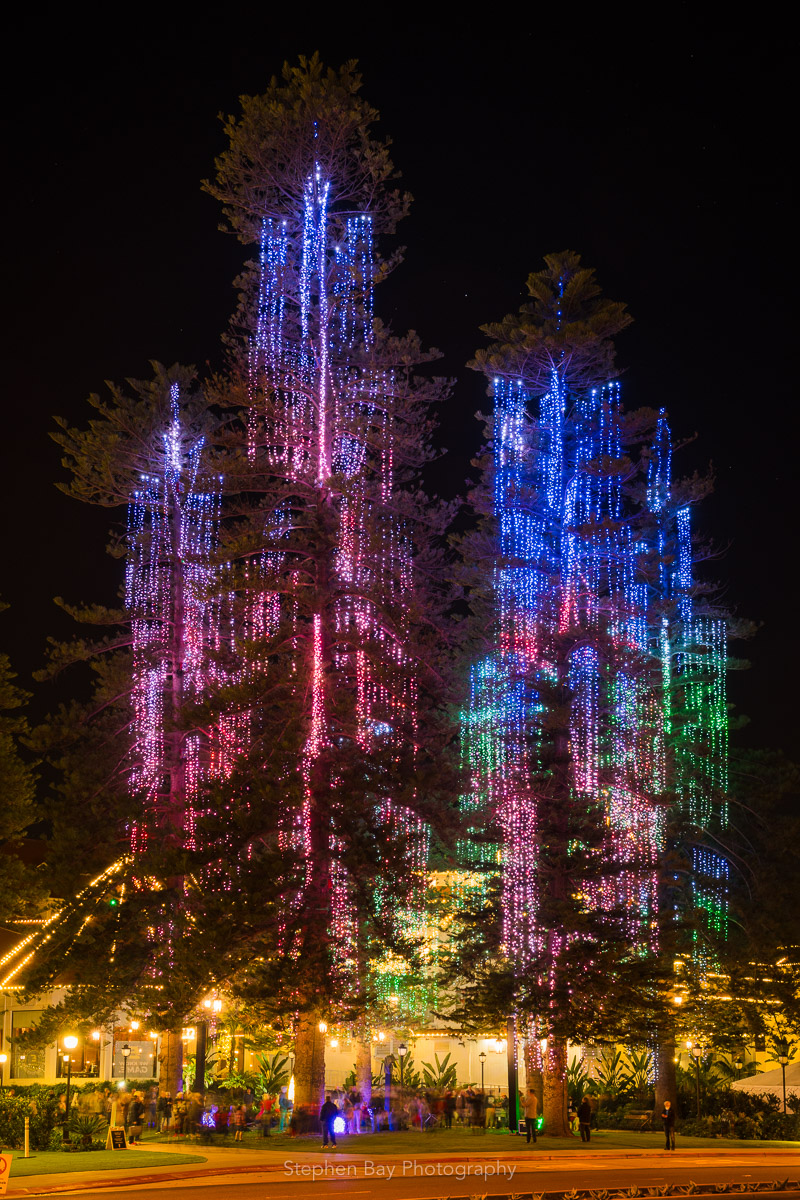 Hotel del Coronado Pine Grove Christmas Light Show