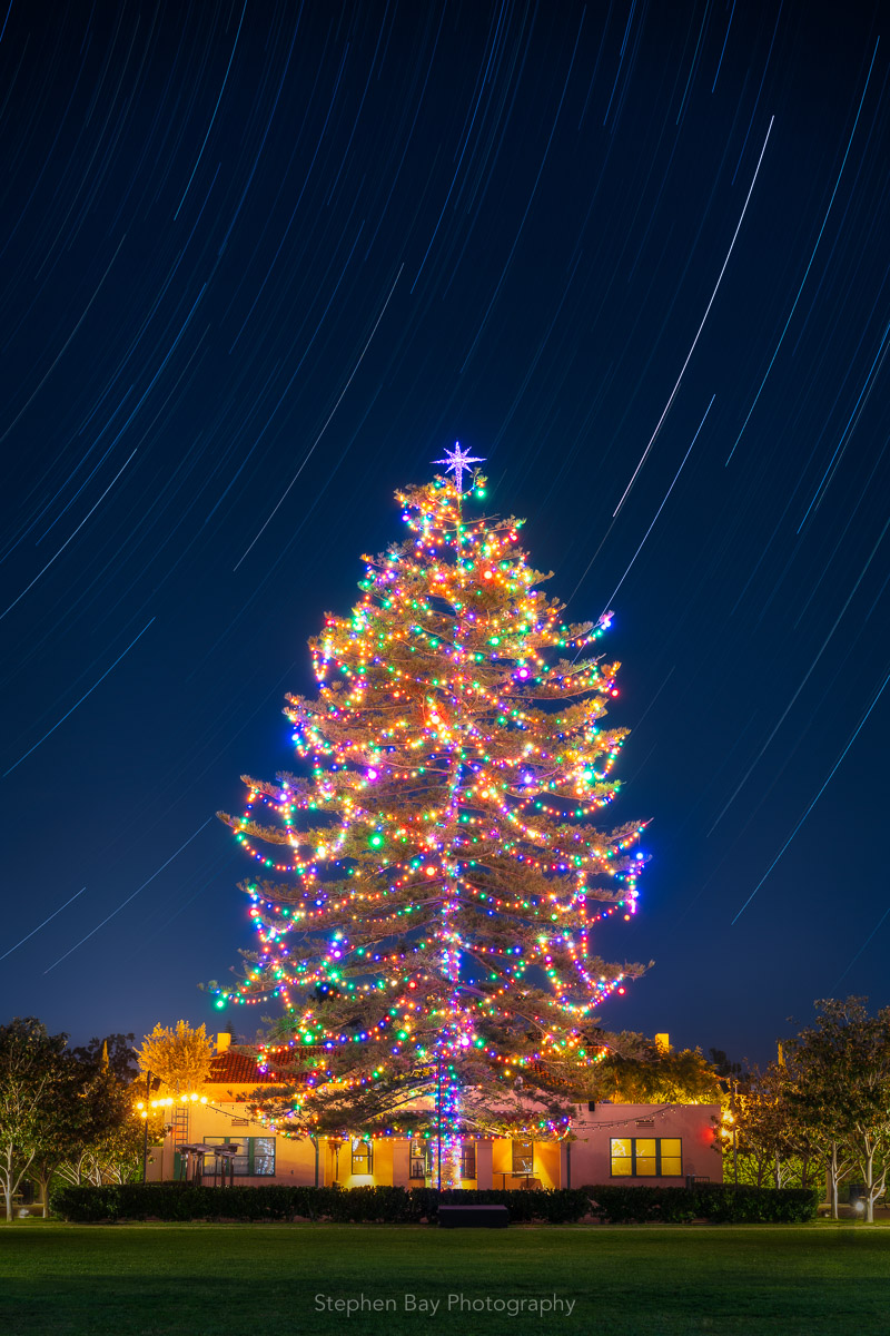 Liberty Station Christmas Tree