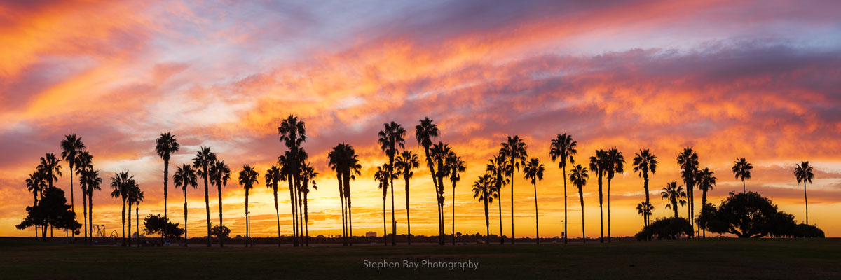 A panorama photo showing silhouette of palm trees with a stunning fiery sunset