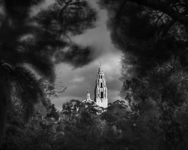 A black and white photo of the California Tower in Balboa Park. The tower is visible through an opening in the trees.