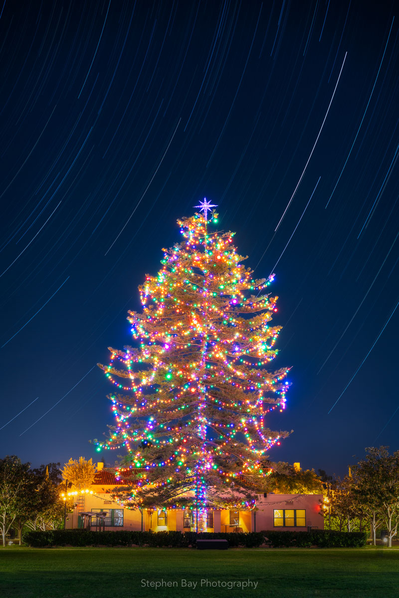 The Norfolk Pine Christmas tree at Liberty Station decorated with holiday lights. A long exposure captures star trails as the earth rotates