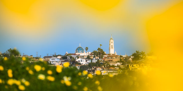 Panorama of the immaculata church viewed through a natural frame made by out of focus yellow flowers. The chuch is at a distance and sits above a hillside filled with neighboring homes.
