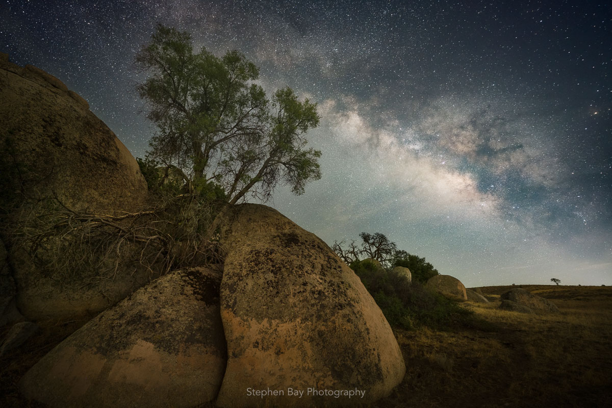 A small tree grows on a rocky boulder in an arid grassland. It’s night and the milky way galaxy is rising above the tree in the sky. 