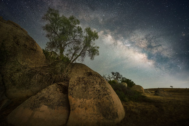 A small tree grows on a rocky boulder in an arid grassland. It’s night and the milky way galaxy is rising above the tree in the sky. 