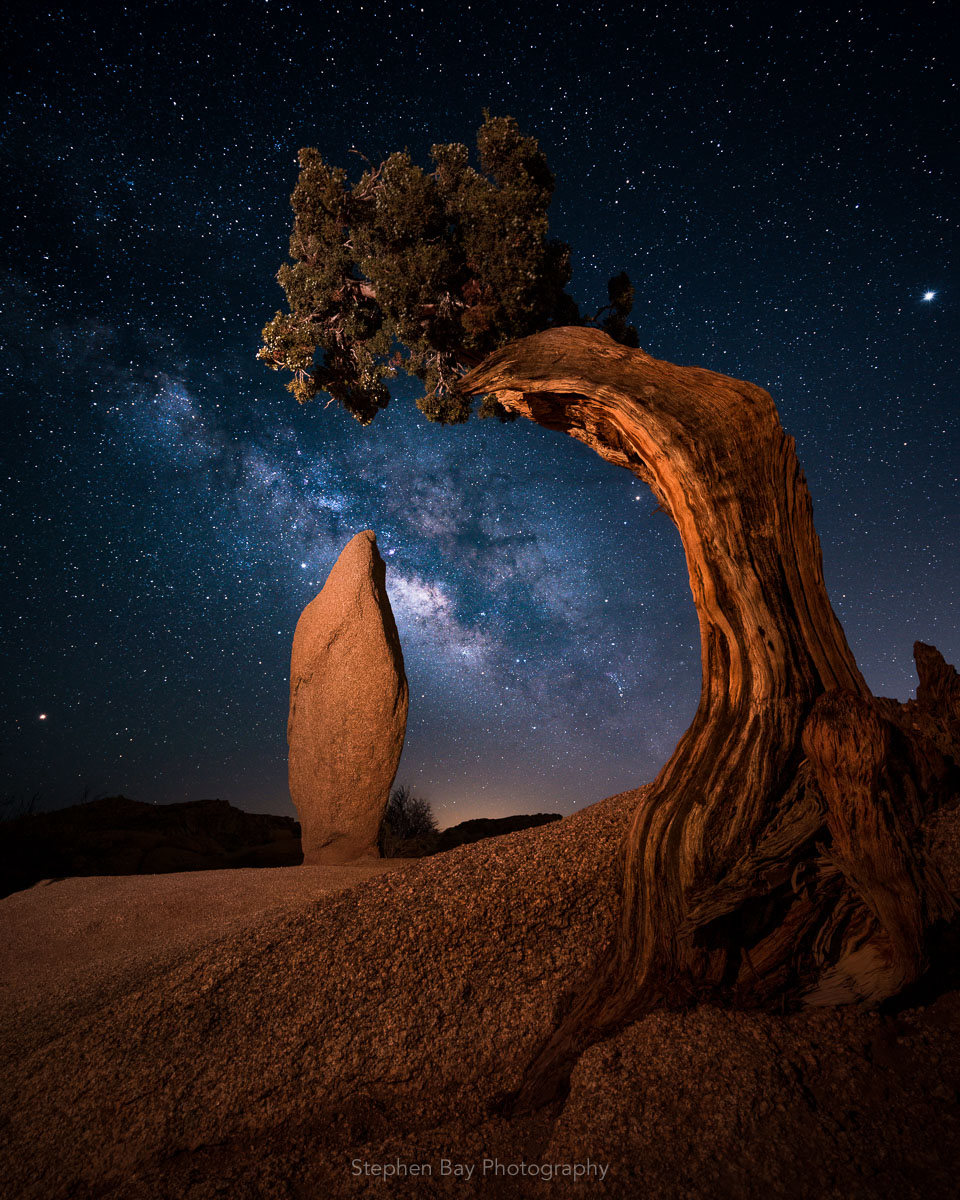 A night photo of a Juniper tree and boulder (monolith) in Joshua Tree national Park. The milky way appears under the branches of the tree and between the rock.