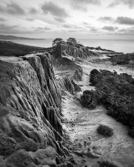 Black and white photo of broken Hill in Torrey Pines State Natural Reserve. A crumbling hill side leads into a ridgeline.