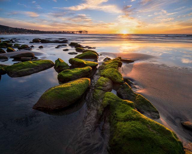 The La Jolla coastline by Scripps Pier. In the foreground are green algae covered rocks which lead off into the distance.