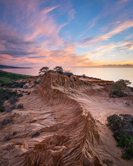 Leaning Out - Broken Hill, Torrey Pines State Reserve
